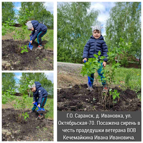 Сад памяти 2024.